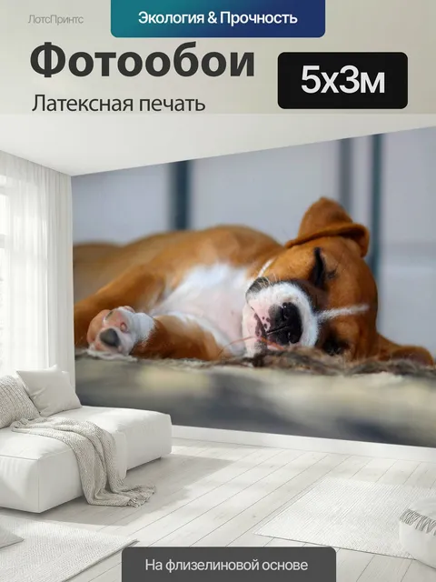 500 × 300 см · Латексная печать