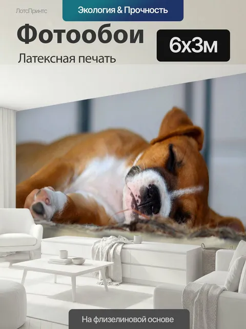 600 × 300 см · Латексная печать