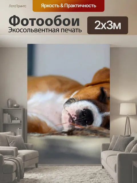 200 × 300 см · Экосольвентная печать