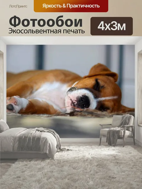 400 × 300 см · Экосольвентная печать