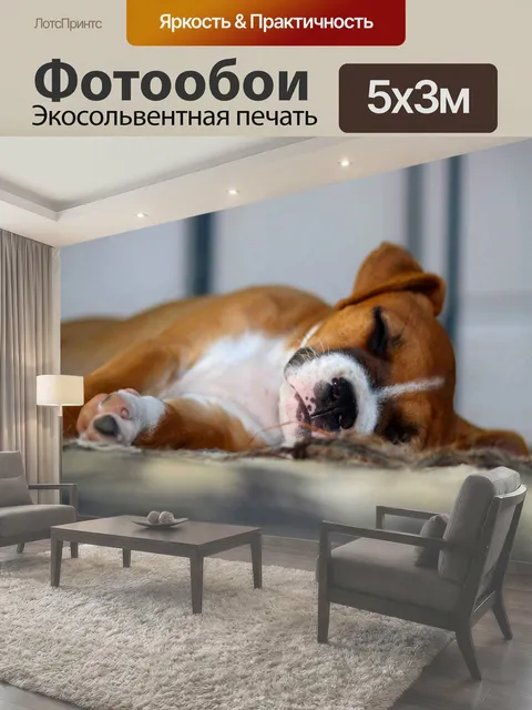 Фотообои Спящая Boxer Puppy Боксер Щенок Спящий боксер Собаки щенки Животные