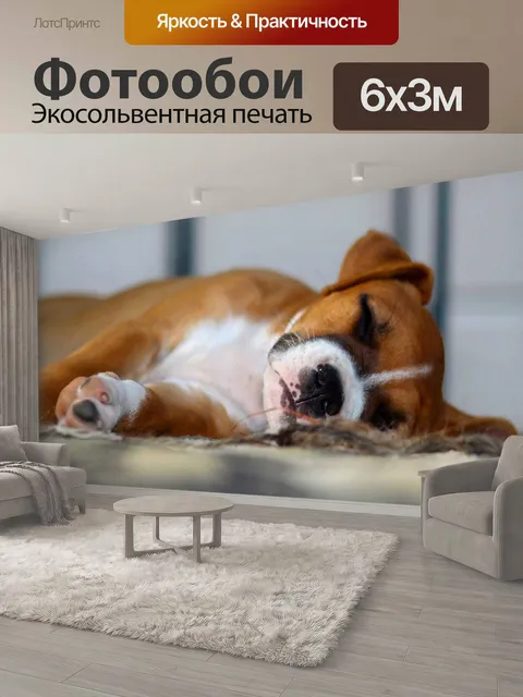 600 × 300 см · Экосольвентная печать