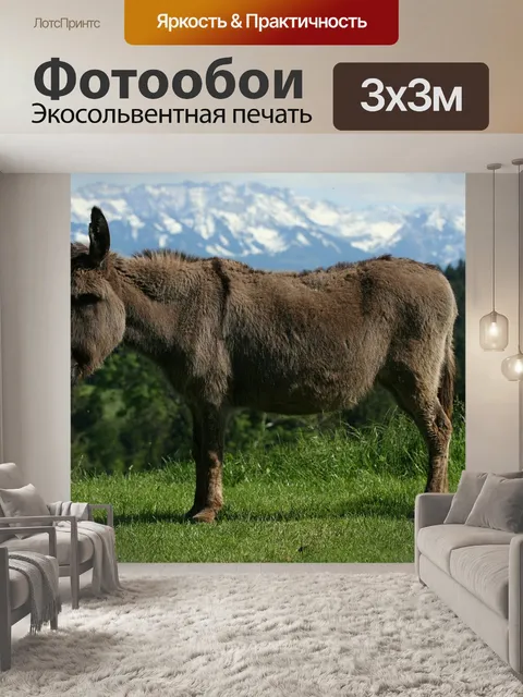 Фотообои Домашний осёл, животное, альпы