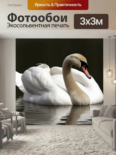 Фотообои Большой лебедь животные