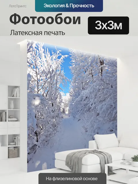 300 × 300 см · Латексная печать
