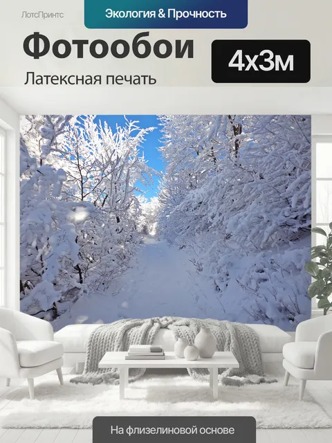 400 × 300 см · Латексная печать