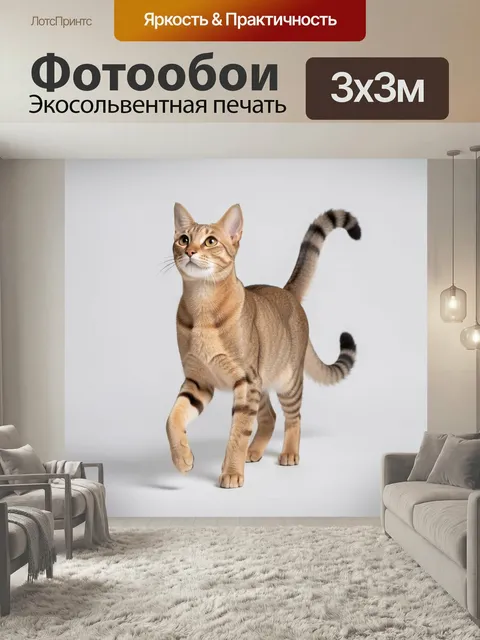 Фотообои Грациозный абиссинский кот. Изящный полосатый питомец с большими ушами и янтарными глазами, шагающий на светл…