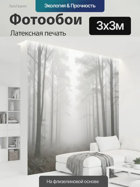 300 × 300 см · Латексная печать