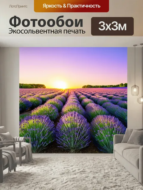 Фотообои Поле лавандовых растений, их чередующиеся полосы пурпурного и зелёного поразительно гармонируют с небом в зак…