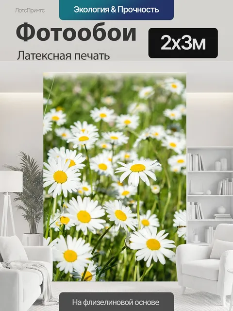 200 × 300 см · Латексная печать