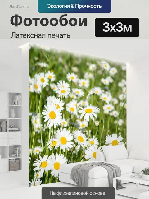 300 × 300 см · Латексная печать