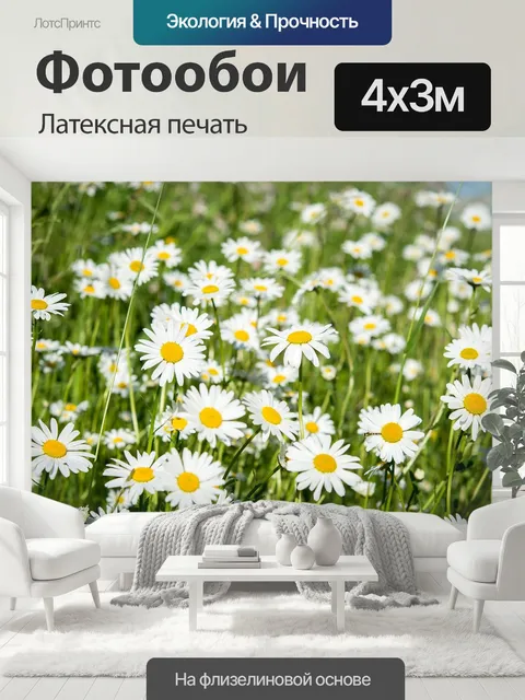 400 × 300 см · Латексная печать
