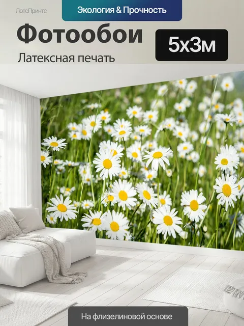 500 × 300 см · Латексная печать