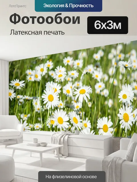 600 × 300 см · Латексная печать