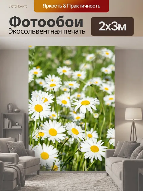 200 × 300 см · Экосольвентная печать