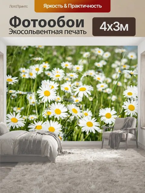 400 × 300 см · Экосольвентная печать