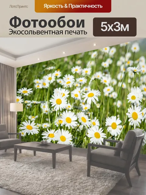 500 × 300 см · Экосольвентная печать