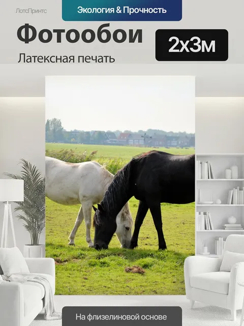 200 × 300 см · Латексная печать