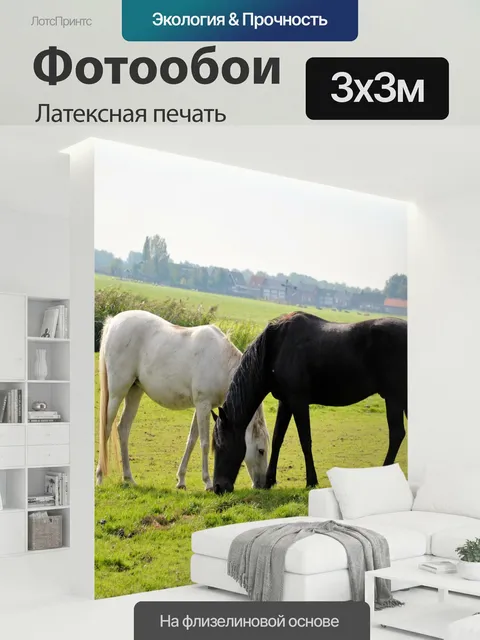 300 × 300 см · Латексная печать