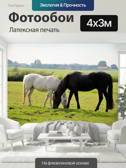 400 × 300 см · Латексная печать