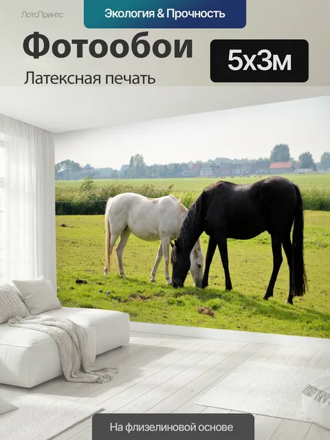 500 × 300 см · Латексная печать
