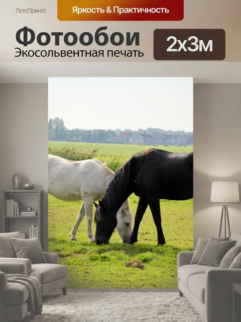 200 × 300 см · Экосольвентная печать