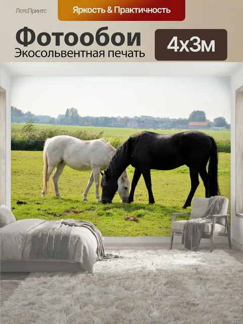 400 × 300 см · Экосольвентная печать