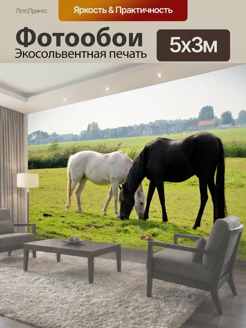 500 × 300 см · Экосольвентная печать