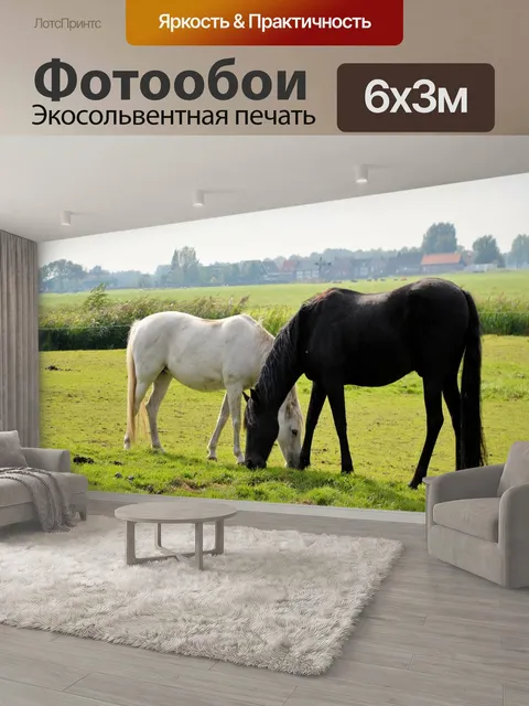 600 × 300 см · Экосольвентная печать