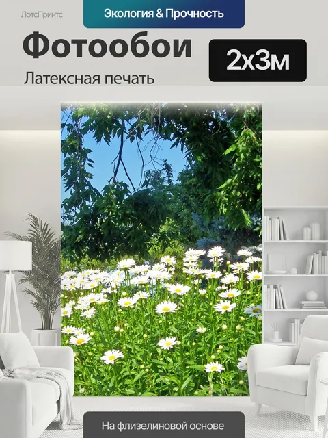 200 × 300 см · Латексная печать