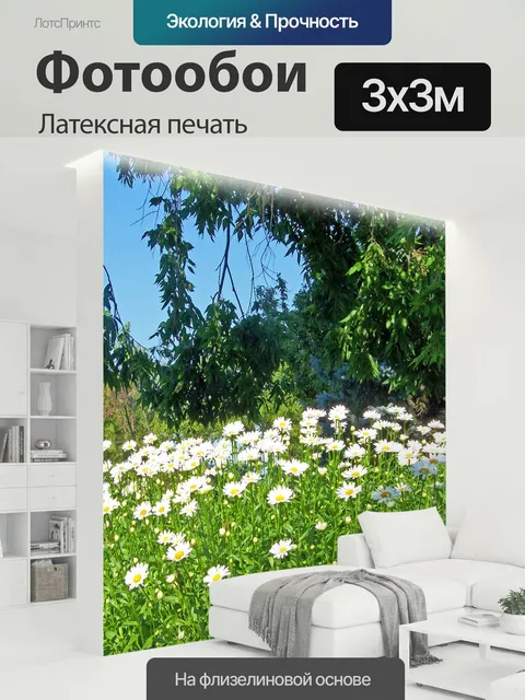 300 × 300 см · Латексная печать