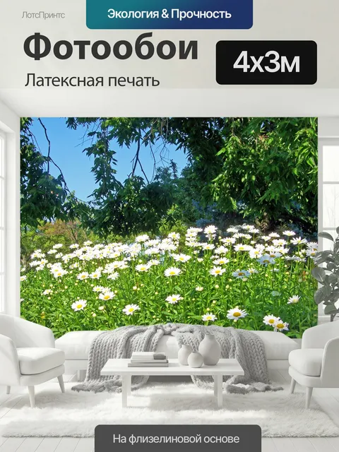 400 × 300 см · Латексная печать