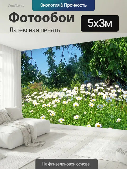 500 × 300 см · Латексная печать