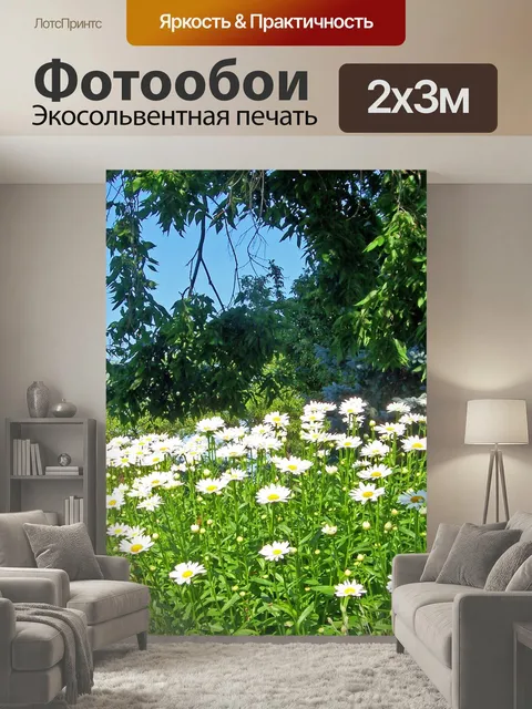 200 × 300 см · Экосольвентная печать