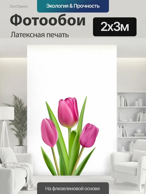 200 × 300 см · Латексная печать