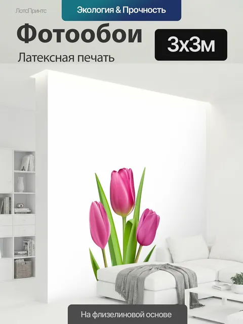 300 × 300 см · Латексная печать