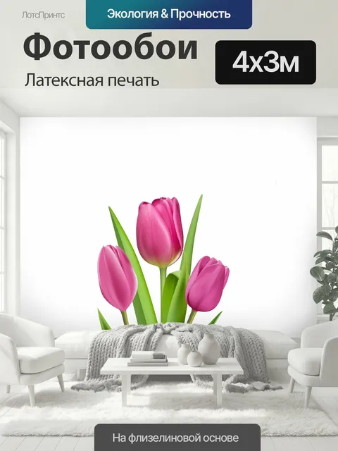 400 × 300 см · Латексная печать