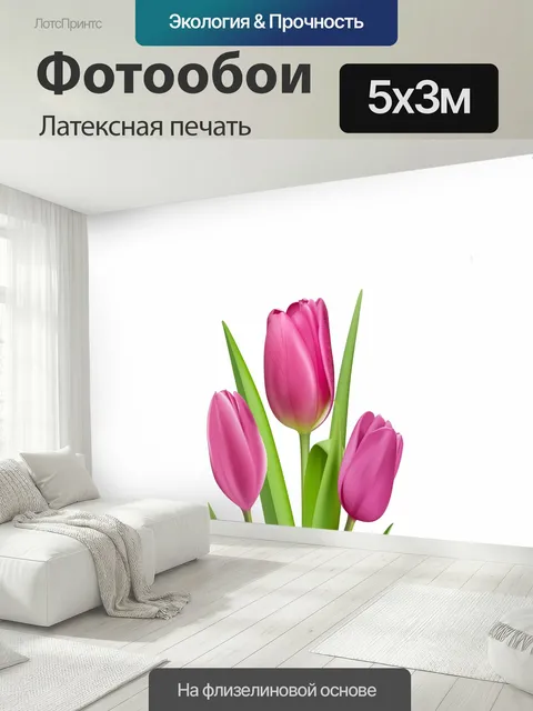 500 × 300 см · Латексная печать