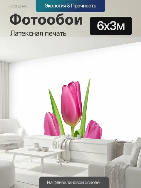 600 × 300 см · Латексная печать
