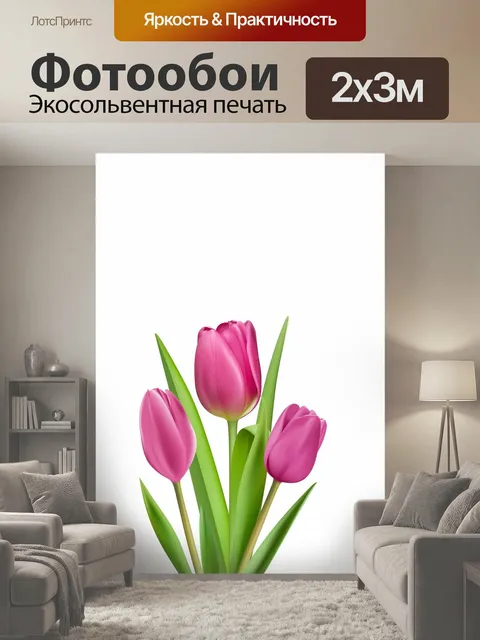200 × 300 см · Экосольвентная печать