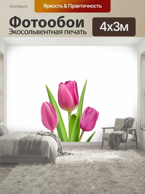 400 × 300 см · Экосольвентная печать