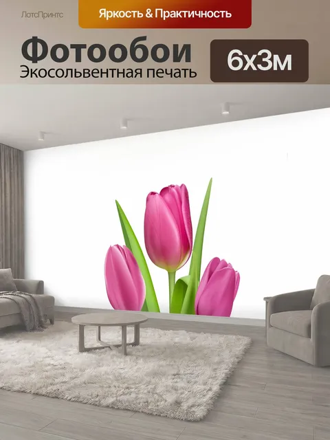 600 × 300 см · Экосольвентная печать