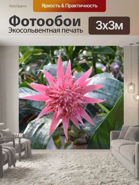Фотообои Завод, эхмея pamera, растение с цветами