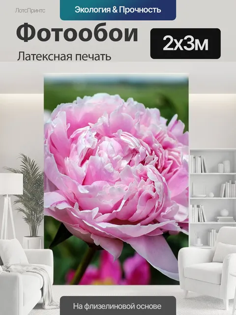 200 × 300 см · Латексная печать