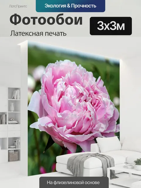 300 × 300 см · Латексная печать