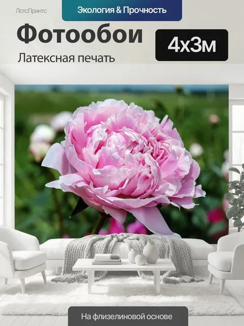 400 × 300 см · Латексная печать