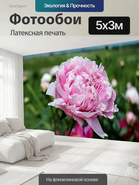 500 × 300 см · Латексная печать