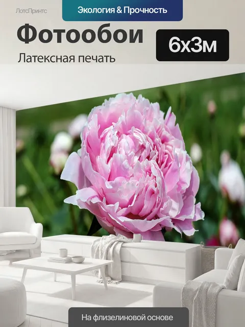 600 × 300 см · Латексная печать