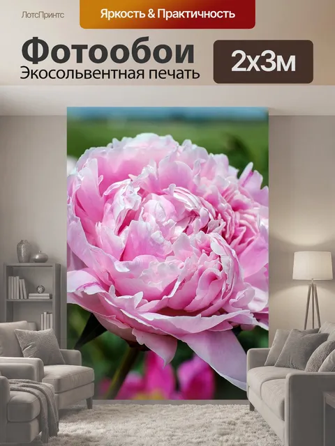 200 × 300 см · Экосольвентная печать