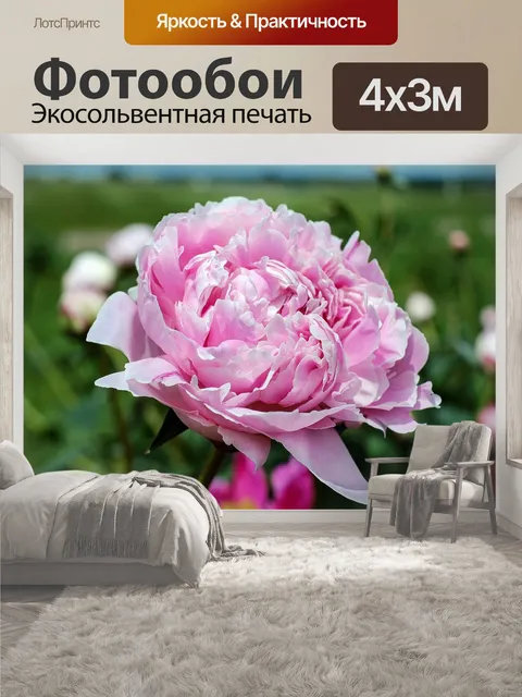 400 × 300 см · Экосольвентная печать